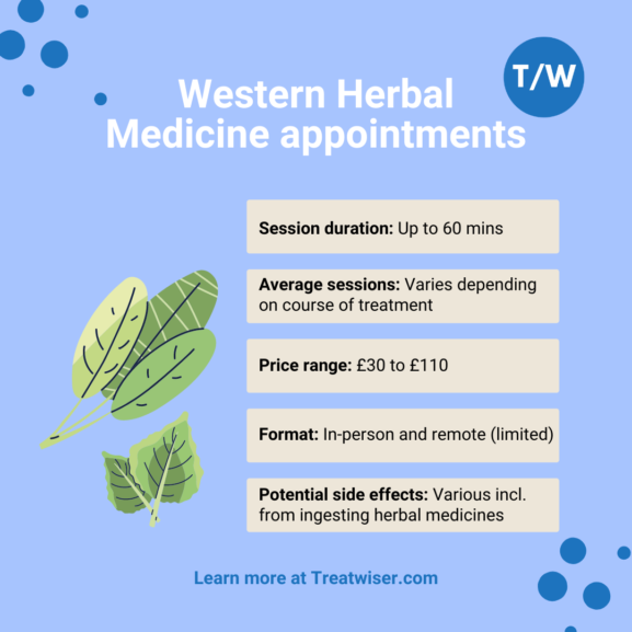 Western Herbal Medicine The Essential Guide Treatwiser