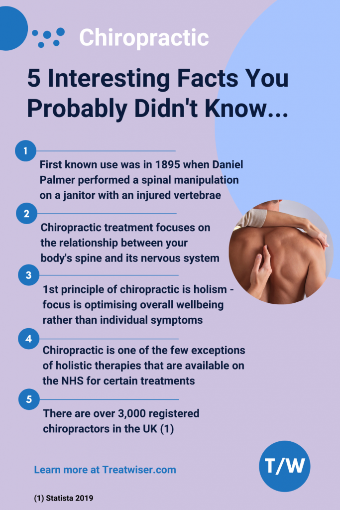 Interesting Facts About Chiropractic