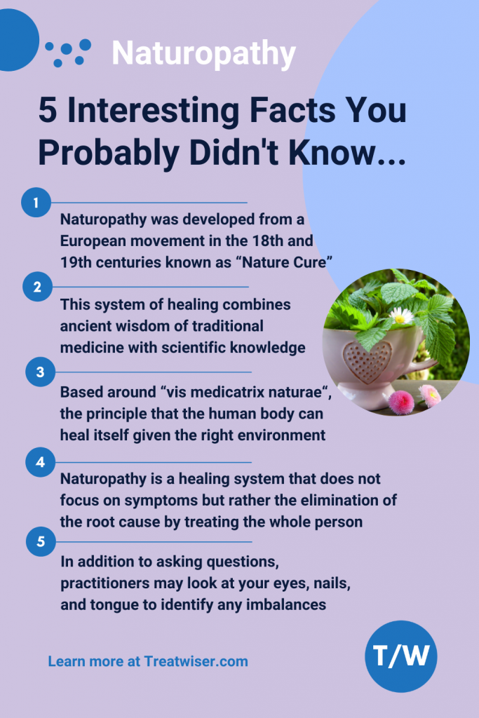 Naturopathy Interesting Facts Summar