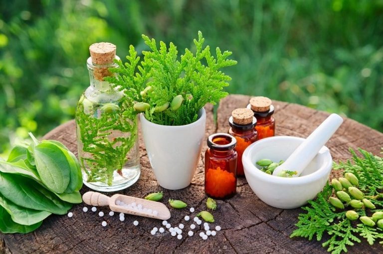 Western Herbal Medicine: The Essential Guide