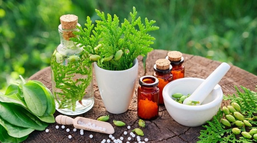 Western Herbal Medicine: The Essential Guide