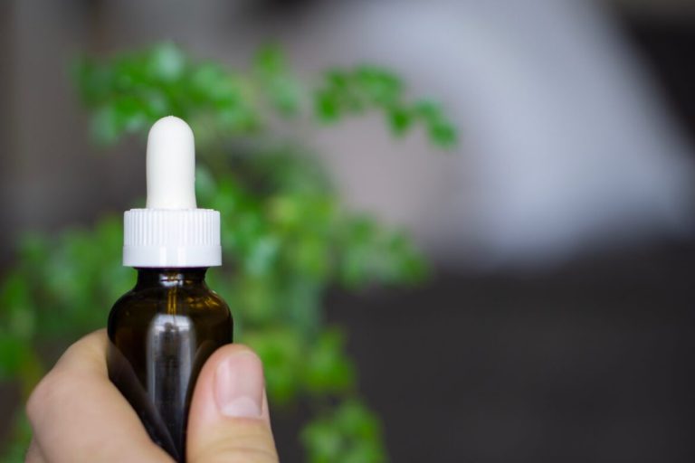 Homeopathy: The Essential Guide