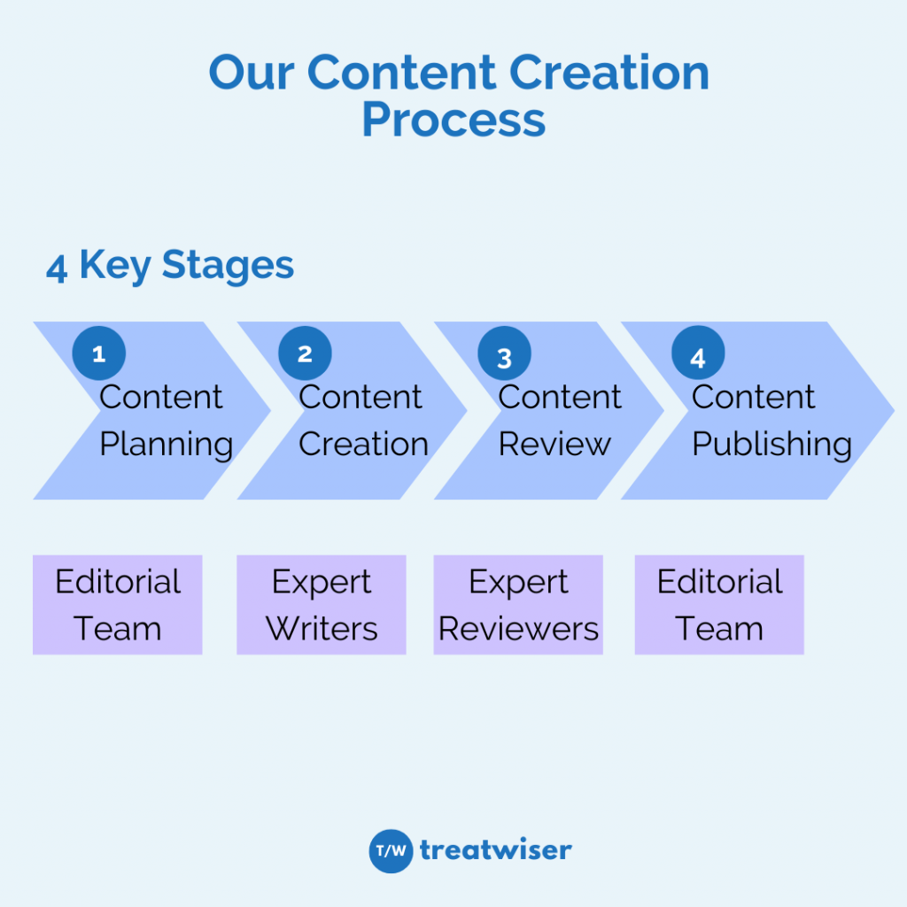 Our Content Creation Process