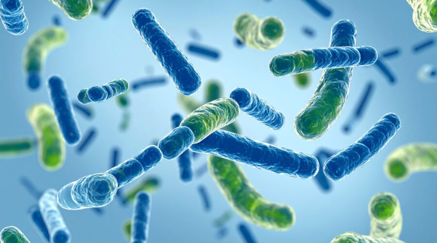 Beyond Probiotics: How Human Milk Bioactives Are Rewriting the Science of Gut Health