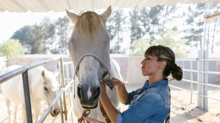 What Is Equine Therapy for Addiction and Trauma Treatment?